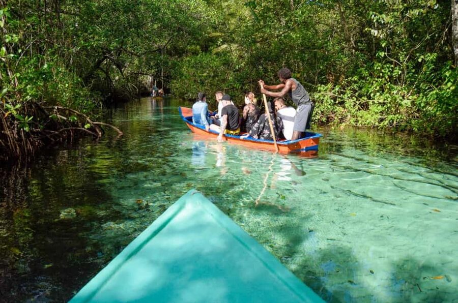 Punta Cana: Whale Watching, Cayo Levantado & Limon Waterfall - A Dominican lunch between the main activities
