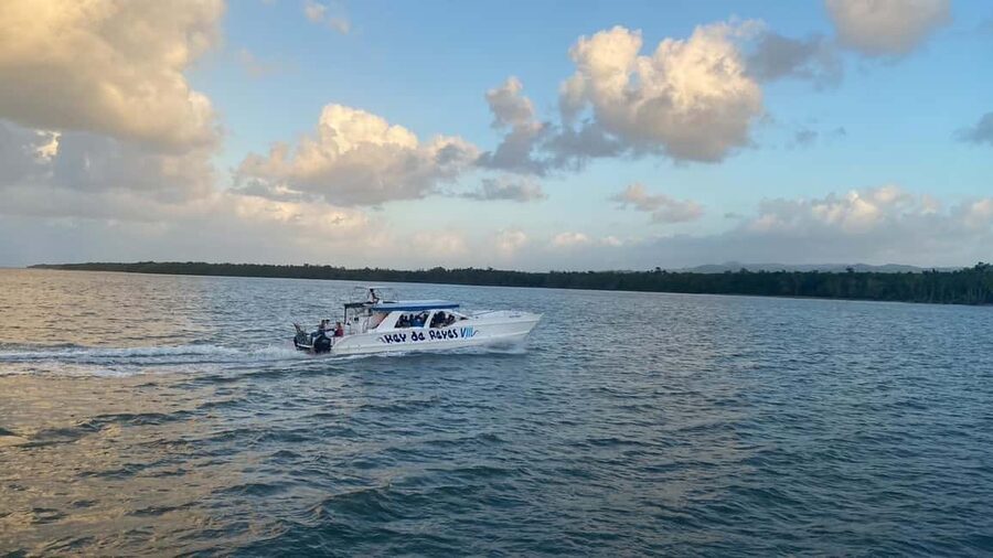 Punta Cana: Whale Watching, Cayo Levantado & Limon Waterfall - Is $160 a fair price?