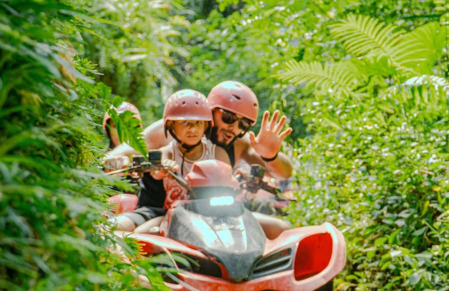 Quad Bike Bali With Tunnel & Waterfall Tour - Rice fields and the greener parts of Ubud