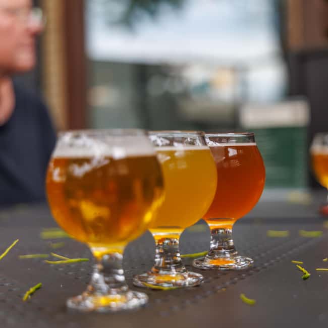 Quebec City: Montmorency Falls and Microbrewery eBike Tour - Key points to know before booking