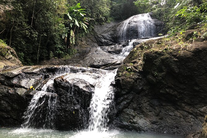 Rainforest Hike and Waterfall Safari - The 4x4 ride through St. Lucia’s interior