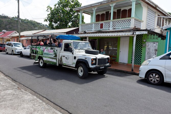 Rainforest Hike and Waterfall Safari - The rainforest walk and the stream crossings