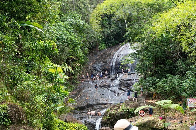 Rainforest Hike and Waterfall Safari - Fruit plantations and roadside island life