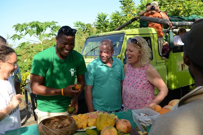 Rainforest Hike & Waterfall Safari St. Lucia From Castries - Starting above Castries at Morne Fortune
