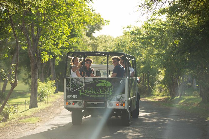 Rainforest Hike & Waterfall Safari St. Lucia From Castries - Who will enjoy this excursion most