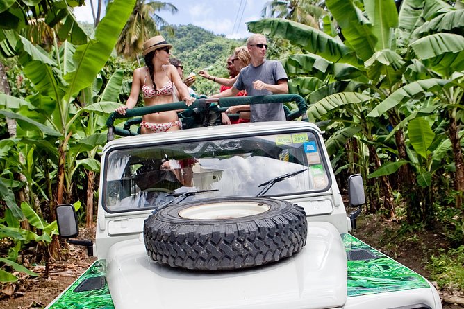 Rainforest Hike & Waterfall Safari St. Lucia From Castries - A short rainforest walk with real water underfoot