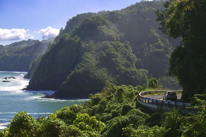 Rappel Maui Waterfalls and Rainforest Cliffs - What makes this Maui adventure worth considering