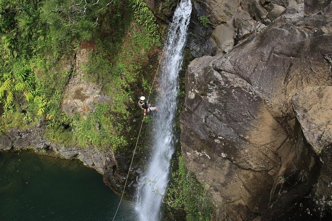 Rappel Maui Waterfalls and Rainforest Cliffs - Rappelling through Maui’s wet side