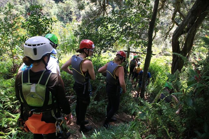Rappel Maui Waterfalls and Rainforest Cliffs - Rain, flooding, and safety choices