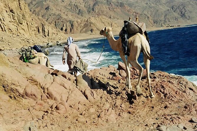 Ras Abu Gallum & Blue Hole Snorkel Safari by Jeep and camel - A full day built around the Red Sea coast