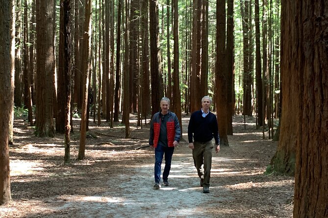 Redwood Forest , Blue Springs & Huka Falls Day Tour from Auckland - Among the redwoods in Whakarewarewa Forest