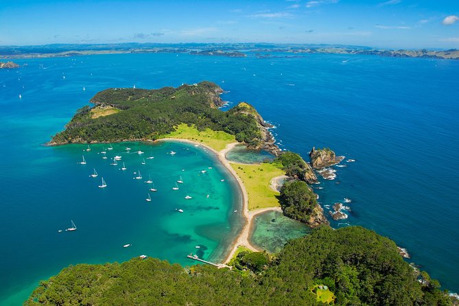 Redwood Forest , Blue Springs & Huka Falls Day Tour from Auckland - Who should book this Auckland day trip