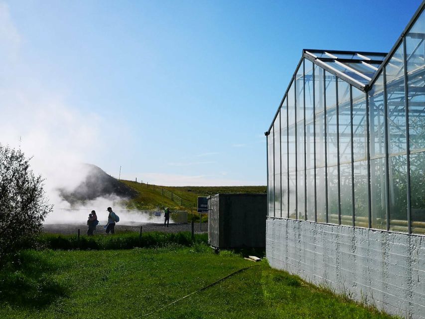 Reykjavik: Lava Cave, Hot Springs, Horses & Waterfalls Tour - Is $222 a fair price?