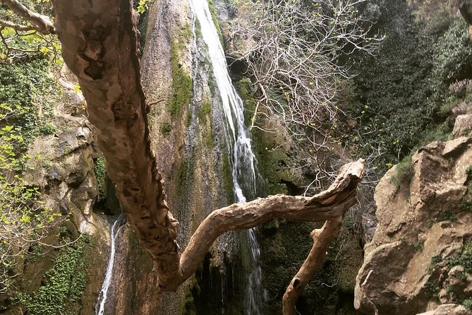 Richtis Waterfall, History, Azoria, OliveTasting, NorthCoast - Key things to know before booking