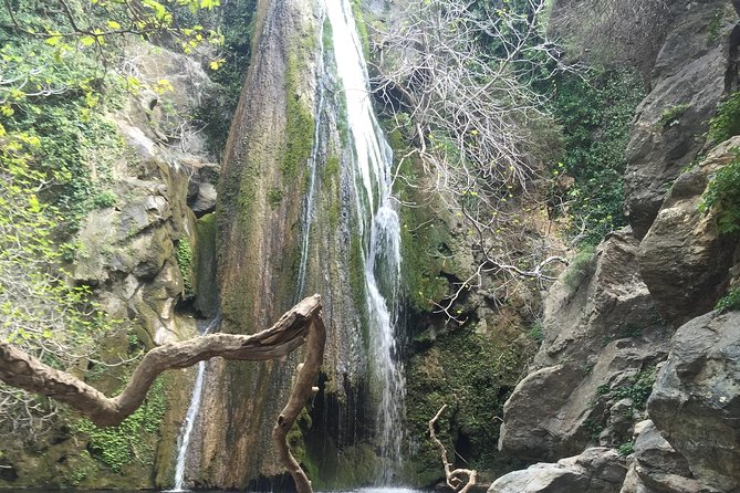 Richtis Waterfall, History, Azoria, OliveTasting, NorthCoast - Cretan lunch with local flavors