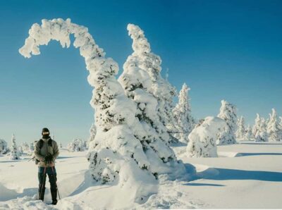 Riisitunturi & Frozen Waterfall Full Day Tour with Photos