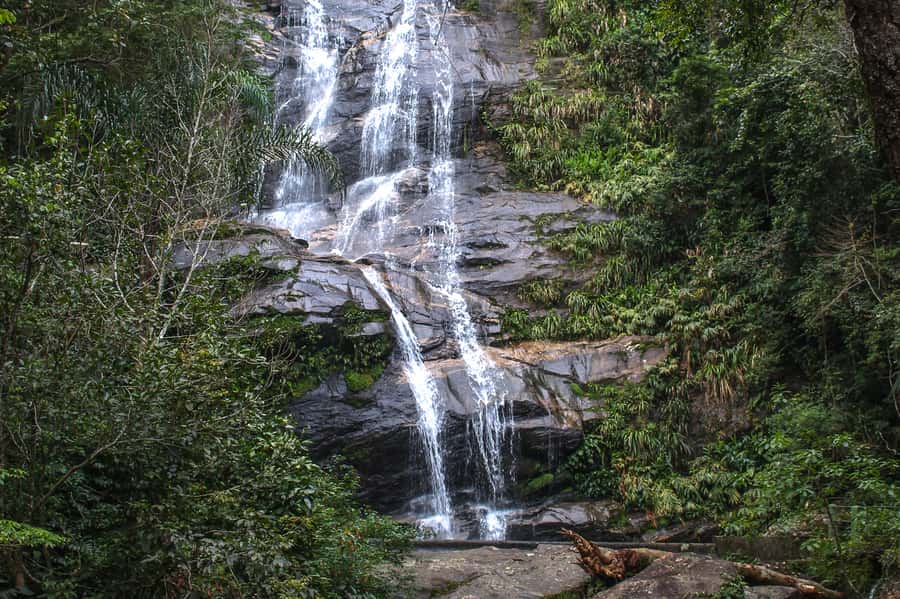 Rio de Janeiro: Tijuca Forest Waterfall of Souls Hike - Key things to know before you go