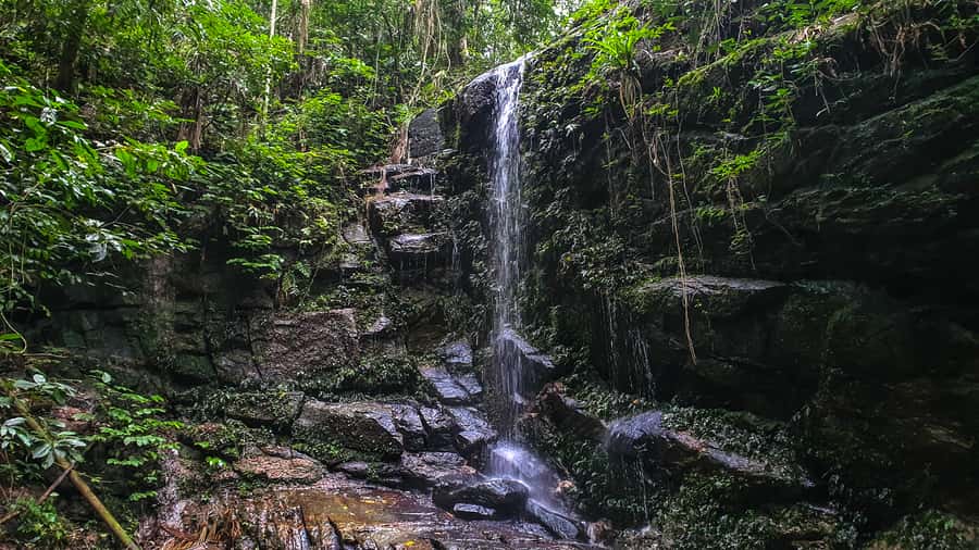 Rio de Janeiro: Tijuca Forest Waterfall of Souls Hike - Why this Tijuca Forest walk feels different