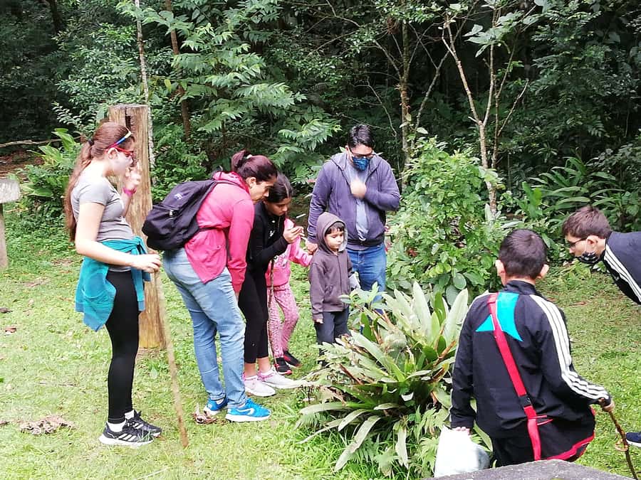 Rio de Janeiro: Tijuca Forest Waterfall of Souls Hike - Following the first stream into the forest