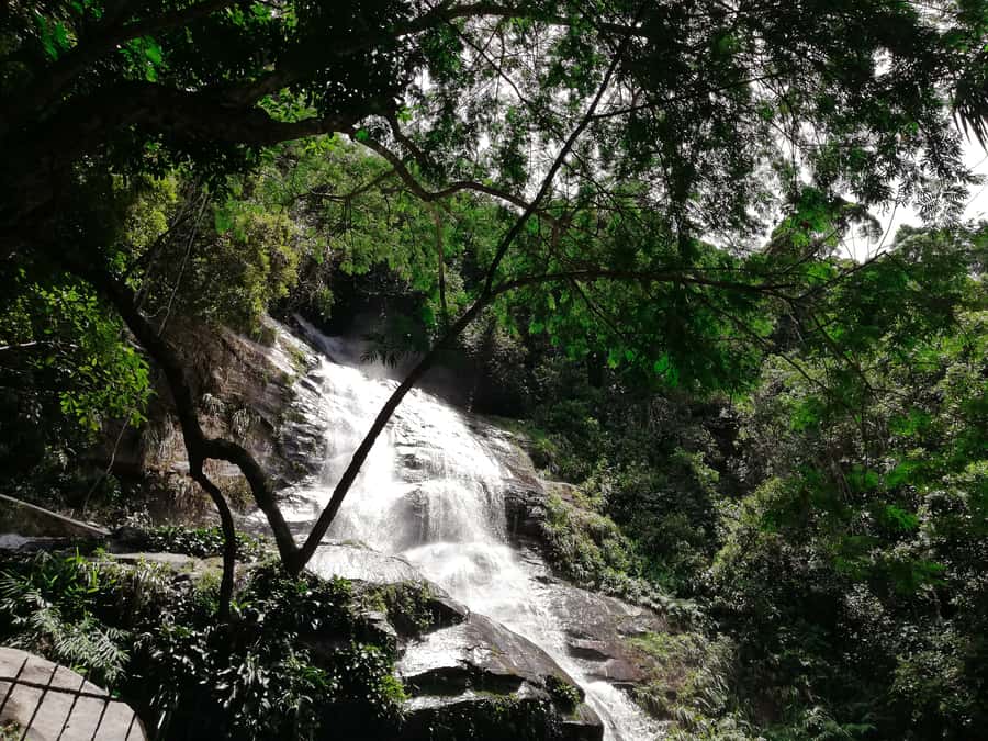 Rio de Janeiro: Tijuca Forest Waterfall of Souls Hike - A different route back to Mayrink Chapel