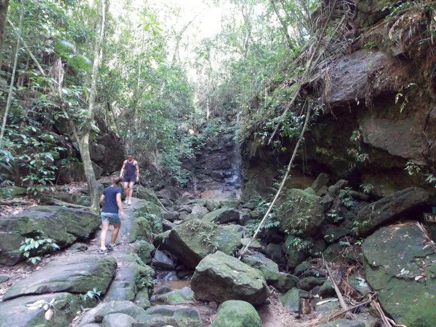 Rio: Tijuca Forest & Horto Waterfalls Circuit Tour - Key points to know before you go