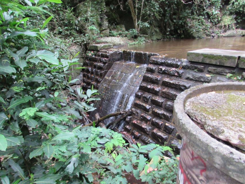 Rio: Tijuca Forest & Horto Waterfalls Circuit Tour - Leaving Rio behind in Horto