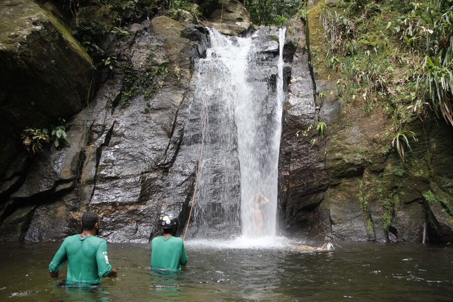 Rio: Tijuca Forest & Horto Waterfalls Circuit Tour - Monkeys, plants, and the forest story