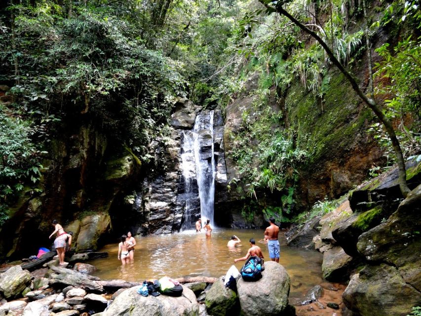 Rio: Tijuca Forest & Horto Waterfalls Circuit Tour - What the $56 price covers