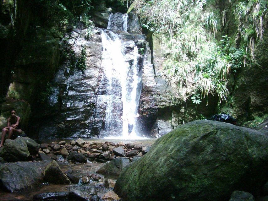 Rio: Tijuca Forest & Horto Waterfalls Circuit Tour - Practical preparation for a better day
