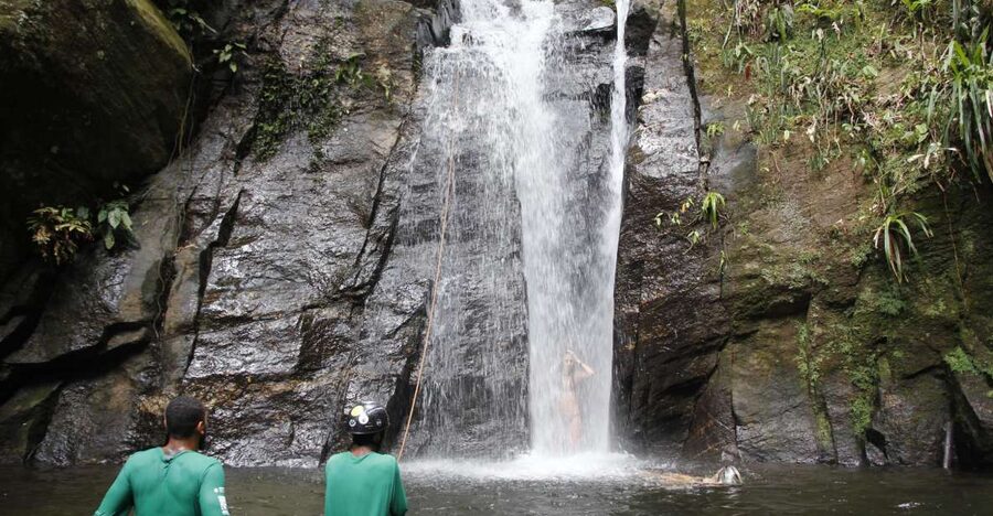 Rio: Tijuca Forest & Horto Waterfalls Circuit Tour - The Horto Waterfall Trail
