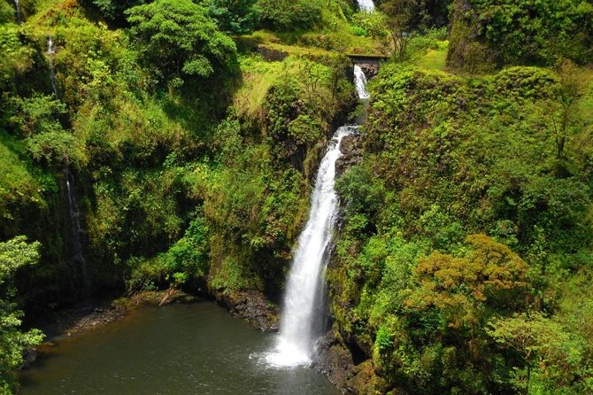 Road To Hana Black Sand Beach Waterfalls & Turtles Tour - Why the Road to Hana is easier with a driver