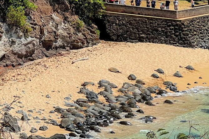 Road To Hana Black Sand Beach Waterfalls & Turtles Tour - Keanae and the banana bread stop