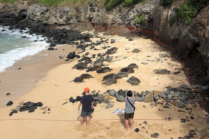 Road to Hana: Full-Day Scenic Drive with Blacksand & Waterfalls - Swimming at Puaʻa Kaʻa State Park