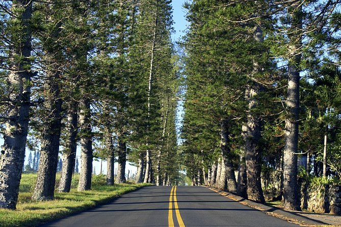 Road to Hana: Full-Day Scenic Drive with Blacksand & Waterfalls - Ho‘okipa Beach and Maui’s north shore