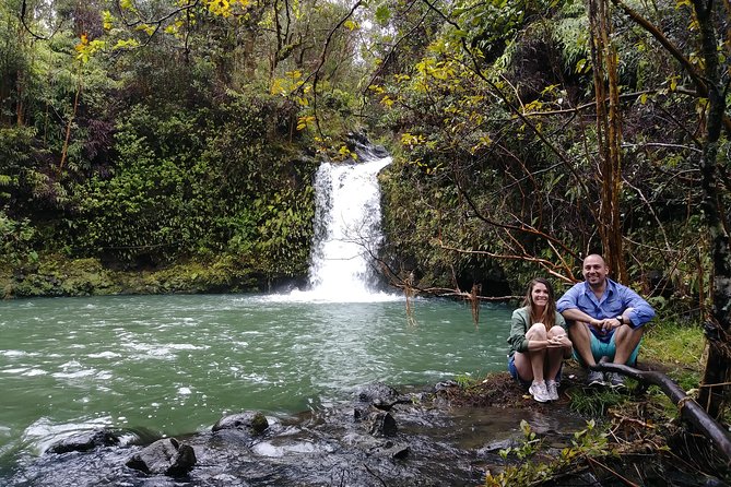 Road To Hana: Maui Waterfall Hiking Tour in Private Jeep - Lunch, banana bread, and local food