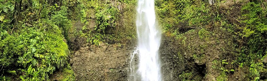 Roseau: Guided Day Trip to Popular Waterfalls - Trafalgar Falls and the first rainforest walk