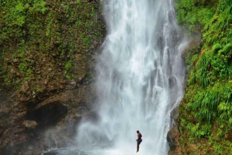 Roseau: Guided Day Trip to Popular Waterfalls - Titou Gorge, with a real chance to swim