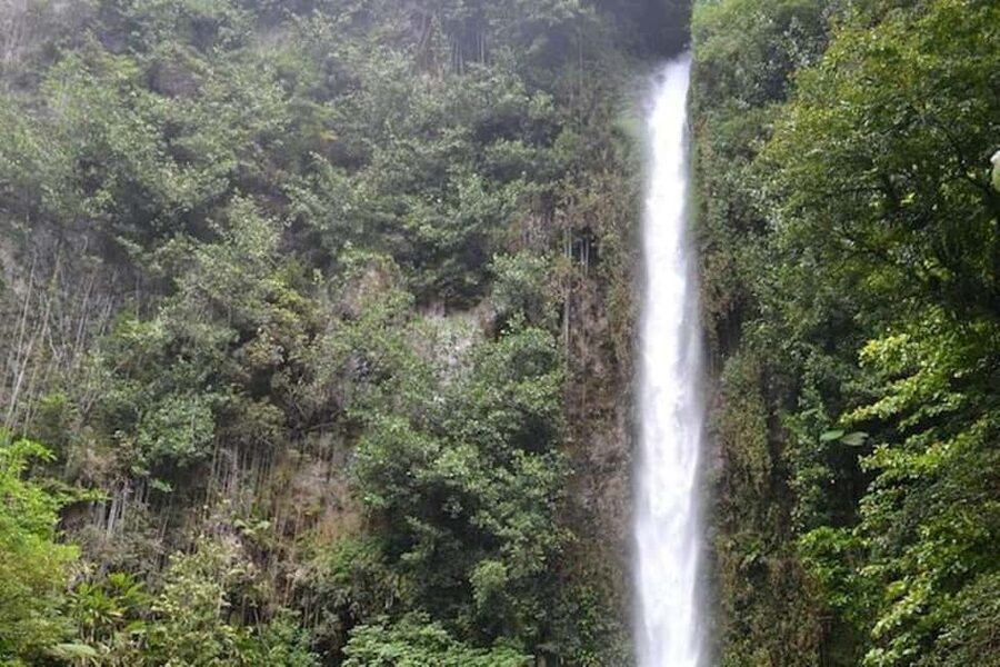 Roseau: Middleham Falls Hike & Titou Gorge Half-Day Trip - The cold pool beneath Middleham Falls