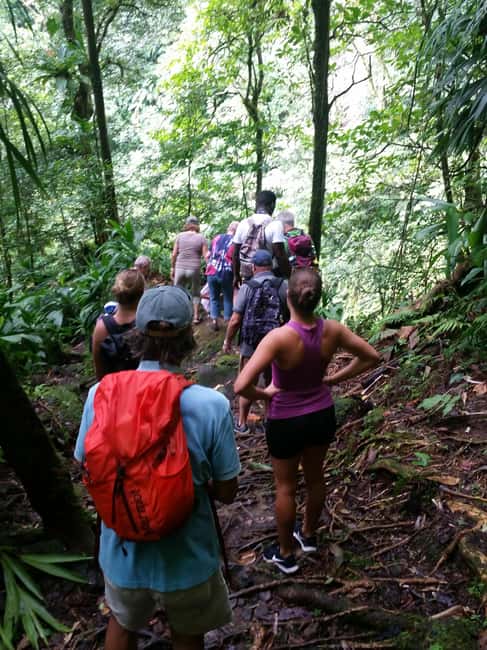 Roseau: Middleham Falls Hike & Titou Gorge Half-Day Trip - The 25-minute ride to Titou Gorge