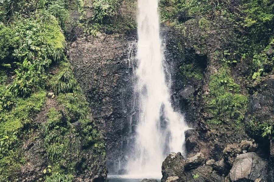Roseau: Middleham Falls Hike & Titou Gorge Half-Day Trip - Walking the rainforest trail