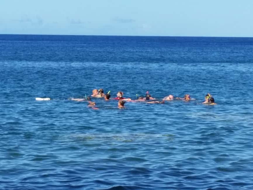 Roseau: Titou Gorge, Hot Spring, Falls & Champagne Reef Tour - Key points at a glance