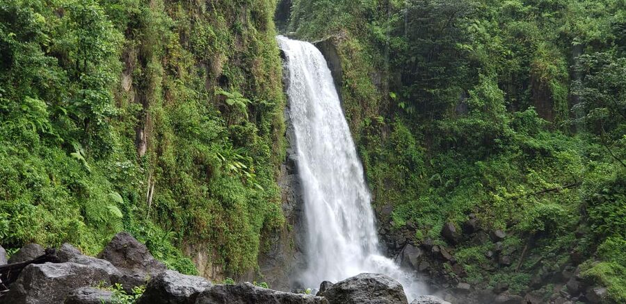 Roseau: Titou Gorge, Hot Spring, Falls & Champagne Reef Tour - Why this six-hour Dominica tour works so well