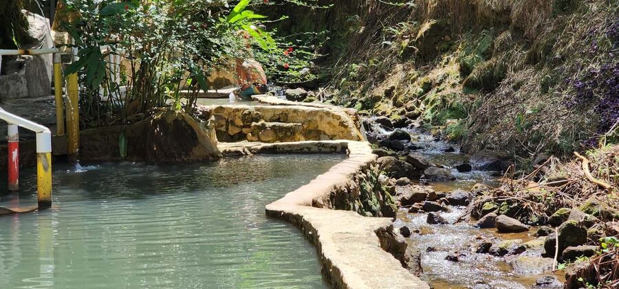 Roseau: Titou Gorge, Hot Spring, Falls & Champagne Reef Tour - Trafalgar Falls and the short rainforest walk