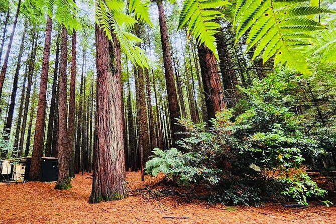 Rotorua & Taupo DayTour with Waiotapu & Huka Falls from Auckland - The 6:00 am Auckland pickup and long north-to-south run