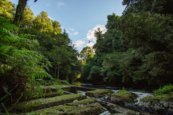 Rotorua Ziplines - Okere Falls Experience - Three waterfalls, bridges, and changing pace