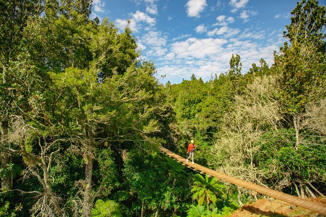 Rotorua Ziplines - Okere Falls Experience - Is $104.88 good value?