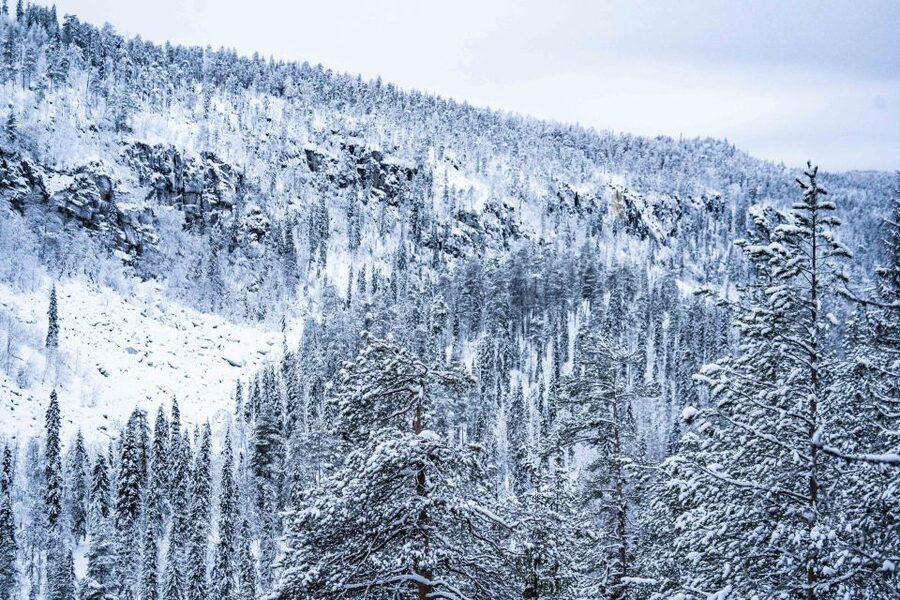 Rovaniemi: Frozen Waterfalls of Korouoma Canyon & Pro Photos - How the guides shape the experience