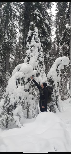 Rovaniemi: Korouoma Frozen Waterfalls Hike & Hot BBQ Lunch - Why Korouoma is worth the long drive