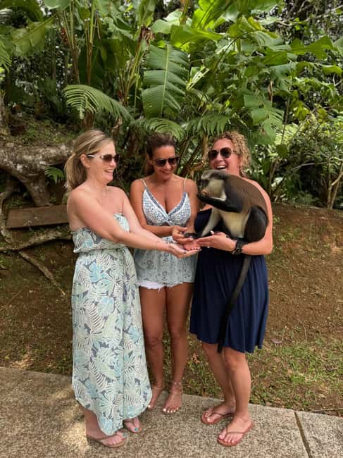Saint George's: Grenada River Tubing & Waterfall island tour - What $150 gets you
