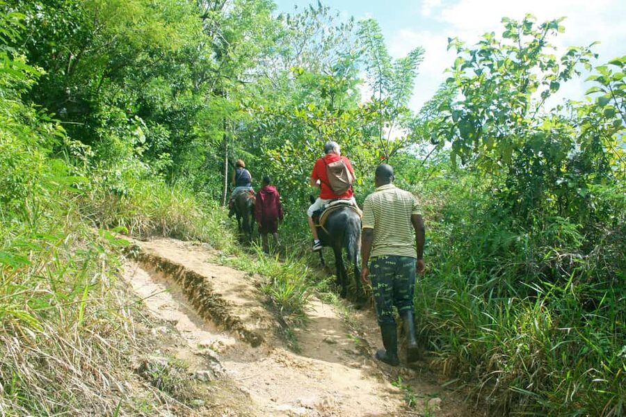 Samaná: El Limón Waterfall Horseback Riding Tour - How demanding is the four-hour schedule?